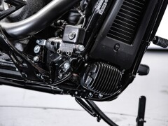 Harley Davidson Low Rider ST - Fast Johnnie 