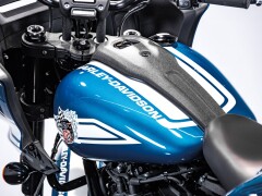 Harley Davidson Low Rider ST - Fast Johnnie 