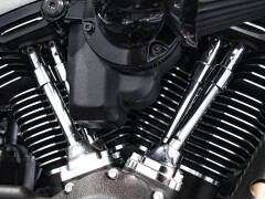 Harley Davidson Low Rider ST - Fast Johnnie 