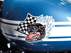 Harley Davidson Low Rider ST - Fast Johnnie 